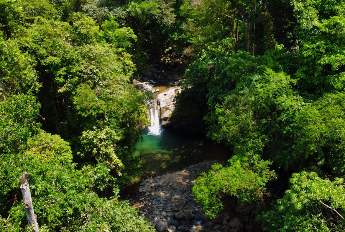 JUNGLE DREAMS FARM: WHERE NATURE MEETS SERENITY – 20 ACRES